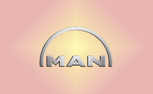 ✓ MAN 51.00900.6612 Запчасти МАН (MAN) 