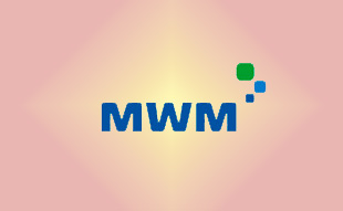 ✓ MWM 13020408 Прокладка коллектора впускного 