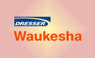 ✓ Waukesha G-900-1041 К-т прокладок компенсатора 